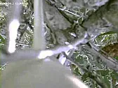 My Comet landed in a tree yesterday...  |  http://www.youtube.com/watch?v=IDhkVJ7xGigI guess that's what I get for...