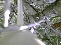 My Comet landed in a tree yesterday...  |  http://www.youtube.com/watch?v=IDhkVJ7xGigI guess that's what I get for...