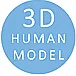 A human model  |  Hi,This comment is about 9 years late... but for anyone that is still looking...