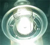 Re: Another bad compact Fluorescent  |  [Roger][hanson]Sylvania CFs and all the other makes, I know of, last for...
