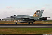 How Do I Back Date an F/A-18C to an A?  |  Speedbrake - yes; the same one between the tails like a C.  No change...