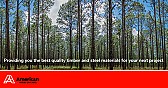 What options for trailer floor  |  I would go back with wood.  Steel decks are too slick and are prone to dents and...
