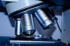 Career Opportinities at the University of Sydney, Australia.  |  The Australian Key Centre for Microscopy and Microanalysis (AKCMM) atthe...
