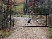 Neat welding project | &laquo; previous thread