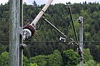 Drahtverhau an Bahnstromisolatoren  | &laquo; previous thread