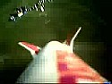 My BoosterVision on YouTube  | &laquo; previous thread