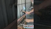 Adding Handles to The Rotating Assembly |  Video 1:54 - Whichever platform gives you the least trouble.  Rumble:...