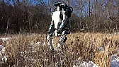 Nowy Atlas Boston Dynamics |  W końcu pozbyli się tej hałaśliwej sprężarki w swoich robotach:  ...