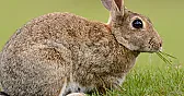 alergenów z powietrza |  Mam pytanie do osób doświadczonych w walce z alergią (alergików?) Mam w domu...