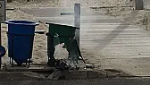A bomb sent me home early  |  My surf-fishing trip was cut short this morning by a bomb that went off in a...