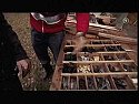 USV sinnvoll?  |  Zum Vertraglichen: schau mal im Kleingedruckten Deines Versorgers,   Zur...