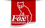 Waterslide Transfers  |  I've just tried to put some very old (20 years) waterslide transfers on a...