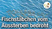 Was wird da eigentlich für ein Mist verkauft?  |  Am 12.06.2018 um 11:47 schrieb Ralf Kiefer: Oh. Und ich dachte die Gruppe...