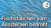Was wird da eigentlich für ein Mist verkauft?  |  Am 13.06.2018 um 16:46 schrieb Uwe Borchert: Heizleistung und damit zwingend...